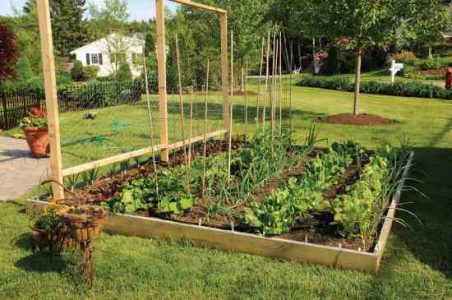 Easy-to-Build Raised Bed Gardening Plans Using Reclaimed Lumber Image